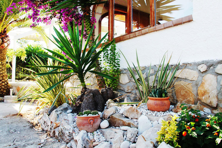 Jardín Casa Els Molins Xàbia - Jávea