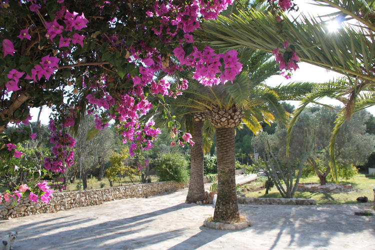 Jardín Casa Els Molins Xàbia - Jávea