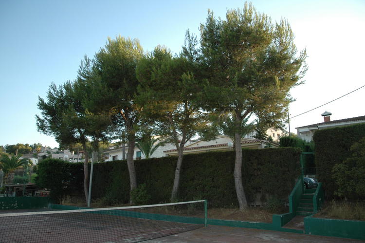 LATERAL DE LA PISTA DE TENIS