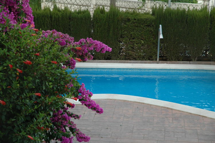 PISCINA VISTA DESDE LA BARBACOA