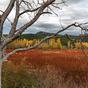 Cabañas-en-Cuenca-Llano-de-los-Conejos-Entorno-Mimbre-2-otoño