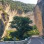 Cabañas-en-Cuenca-Llano-de-los-Conejos-Rutas-estrecho-de-priego-1