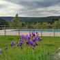 Cabañas-Llano-de-los-Conejos-Complejo-Piscina-6