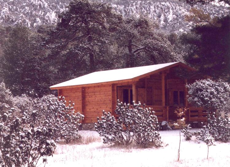 CABAÑA EN INVIERNO