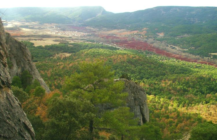 PAISAJE DEL LLANO DE LOS CONEJOS