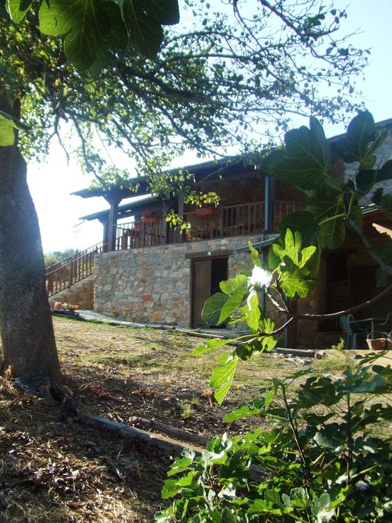 Exterior con plantas