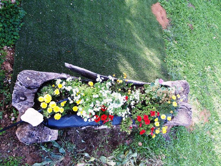 Primavera en el jardín El Caño I