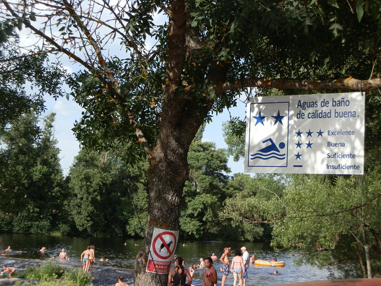 Bañistas