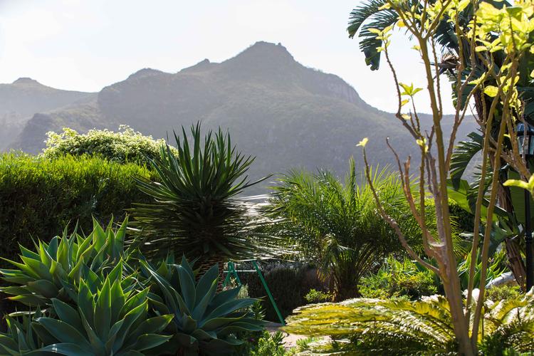 Jardines